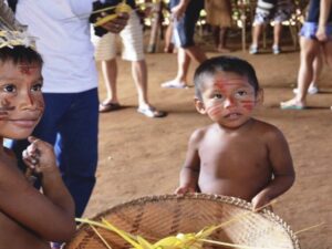 As contribuições dos povos indígenas para o desenvolvimento da ciência no Brasil