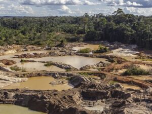 Mudanças climáticas: caminhos para o Brasil