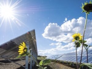 As fontes de energia no século XXI: uma visão de sustentabilidade