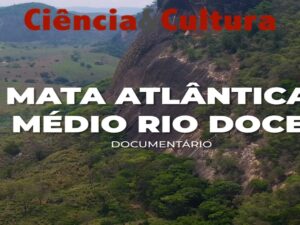 Mata Atlântica: tesouro biodiverso do Brasil