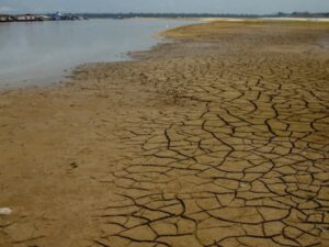 Mudanças climáticas e a transversalidade do conhecimento