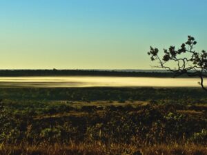 O cerrado e as mudanças climáticas