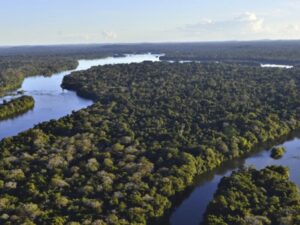 Amazônia, coração político do planeta