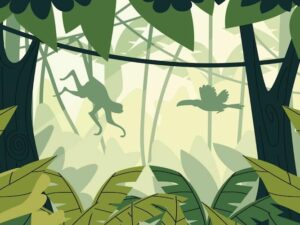 A riqueza das florestas