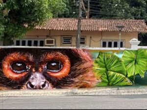 Entre dados e afetos: o papel da arte na era das emergências climáticas