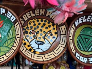 As COPs e as mudanças climáticas e globais