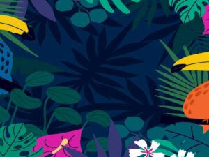 COP 30: Resultados e desafios