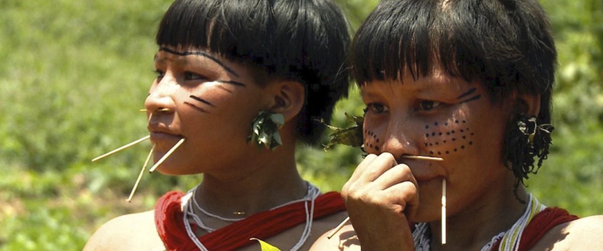 C&C 2E24 - artigo Brazilian Indians non Indians interactions and their effects - capa site