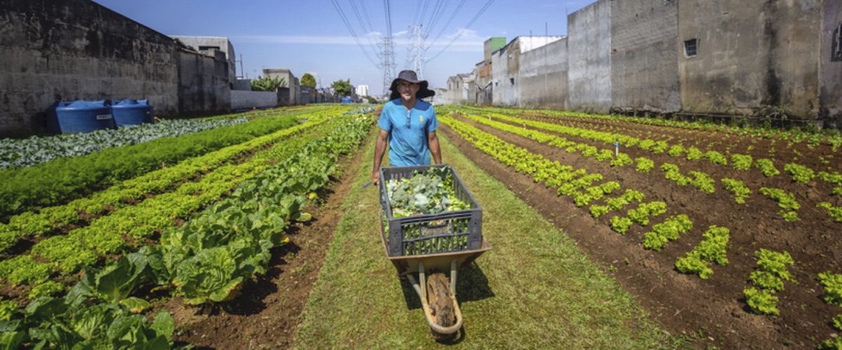 C&C 3E25 - reportagem - Sustentabilidade no prato - capa site