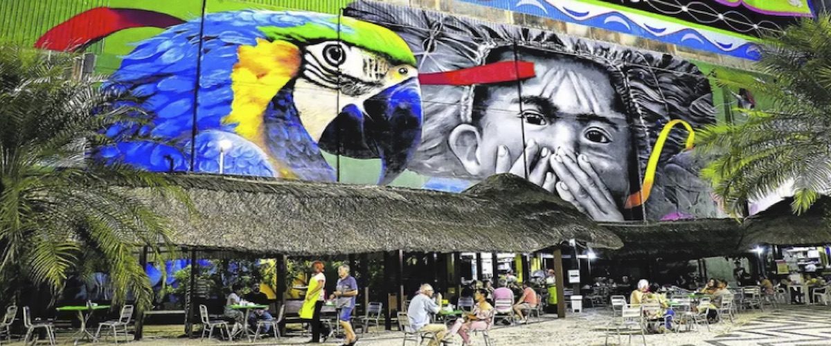 C&C 3E25 - reportagem - arte urbana e meio ambiente - capa site