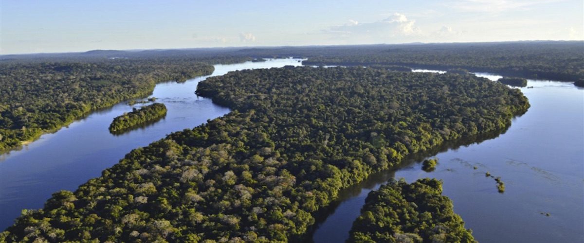 C&C 4E25 - opinião - Amazônia Coração Político do Planeta - capa site