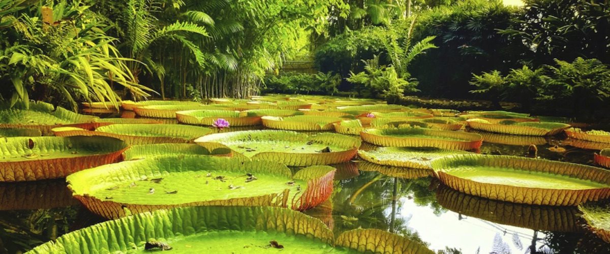 C&C 4E25 - reportagem - Ciência na linha de frente - capa site