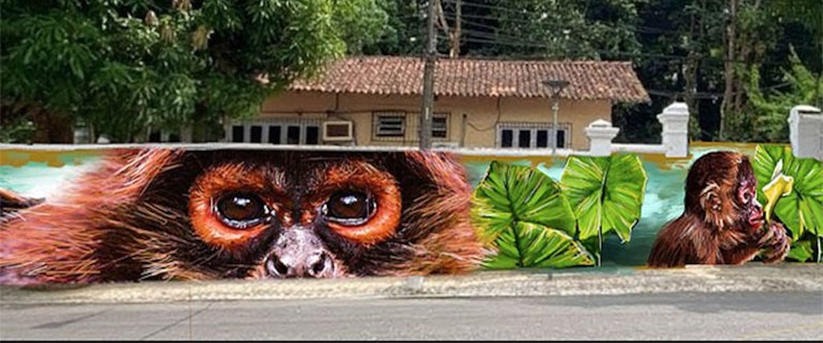 C&C 4E25 - reportagem - Entre dados e afetos - capa site