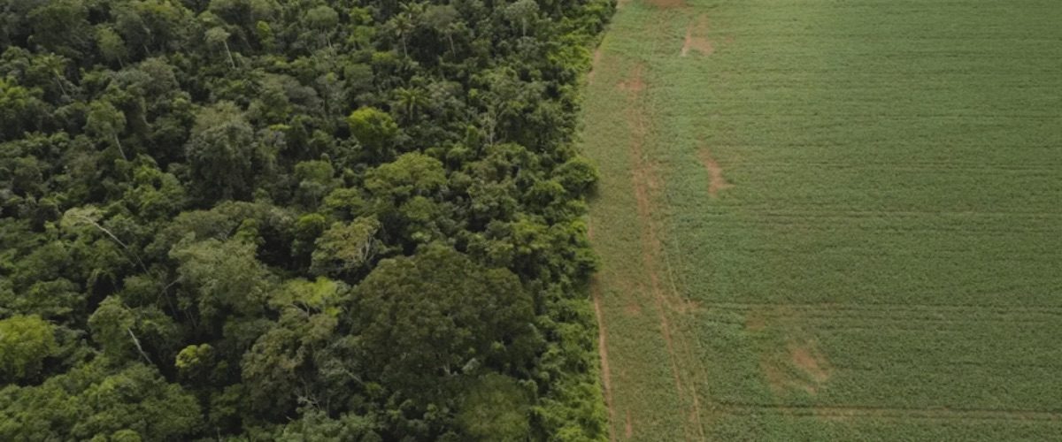 C&C 4E25 - reportagem - Financiamento climático na COP 30 - capa site