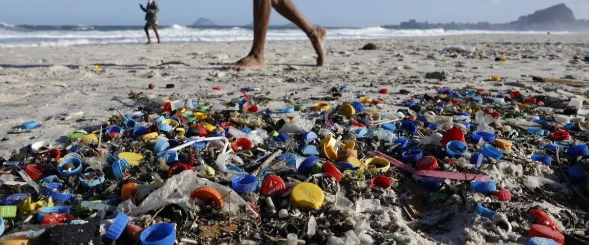 CD - A ciência do lixo - capa site