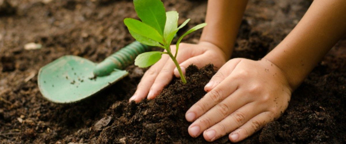 DC - Dia da terra - capa site