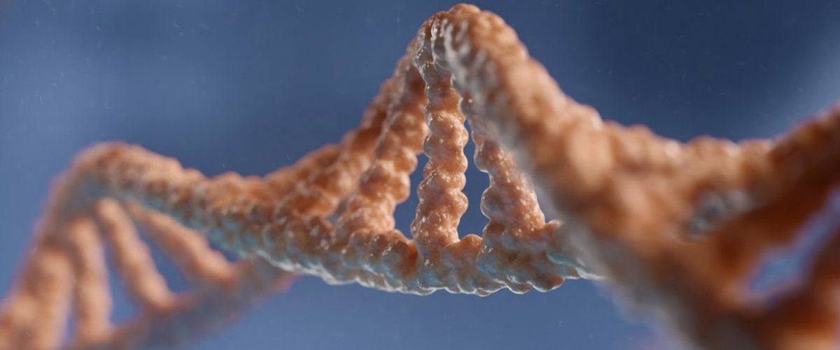 HC - Descoberta da estrutura do DNA - capa site