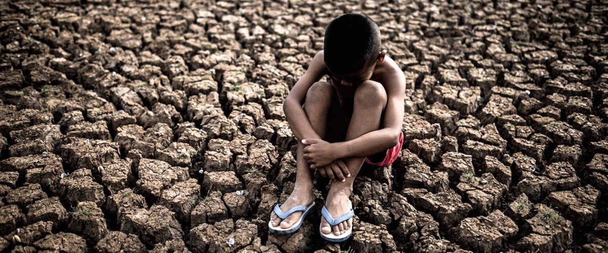 ecoansiedade capa site