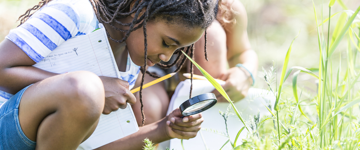 educacao ambiental capa site